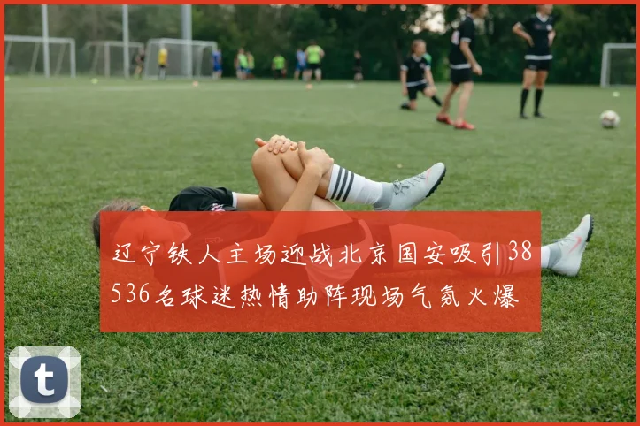 辽宁铁人主场迎战北京国安吸引38536名球迷热情助阵现场气氛火爆