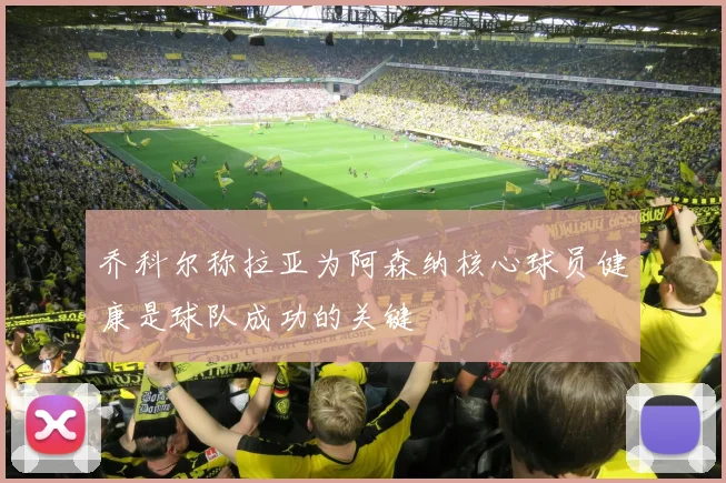 乔科尔称拉亚为阿森纳核心球员健康是球队成功的关键